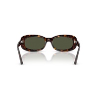 Ray-Ban RB2221 902/31-53 Havana / Green Lenses