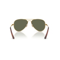 Ray-Ban RB3925 001/58-58 Aviator Max Arista Gold / Green Polarised Lenses