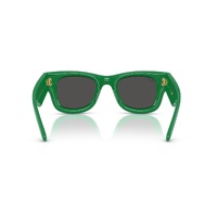 Ray-Ban RB4940 683487-47 Wayfarer Puffer Green / Ultra Black Lenses