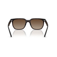 Ray-Ban RB4466D 714/13-47 Transparent Dark Brown / Brown Gradient Lenses