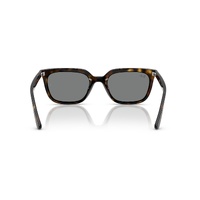 Ray-Ban RB4439D 710/87-54 Havana / Dark Grey Lenses