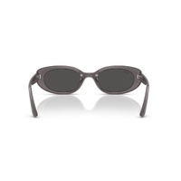 Ray-Ban RB4441D 677787-53 Transparent Dark Grey / Dark Grey Lenses