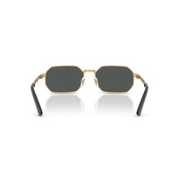 Versace VE2297 100287-54 Gold / Dark Grey Lenses