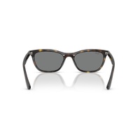 Ray-Ban RB4474D 710/87-54 Havana / Dark Grey Lenses