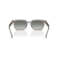 Versace VE4513D 593/11-56 Transparent Grey / Grey Gradient Lenses