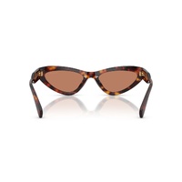 Miu Miu MUB11SU 27L90Q-55 Havana / Brown Lenses