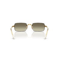 Ray-Ban RB3928 001/71-54 Arista Gold / Dark Green Lenses