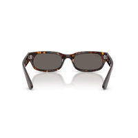 Ray-Ban RB2236 902/B1-54 Havana / Dark Grey Lenses