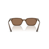 Ray-Ban RB4456 677973-53 Zaya Transparent Brown / Dark Brown Lenses