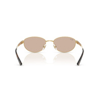 Ray-Ban RB3774D 001/3-55 Arista Gold / Light Brown Lenses