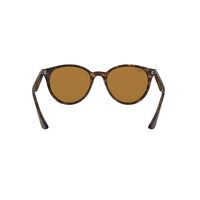 Ray-Ban RB4305 710/83-53 Tortoise / Brown Classic B-15 Polarised Lenses