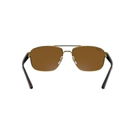 Ray-Ban RB3663 001/57-60 Gold / B-15 Brown Polarised Lenses