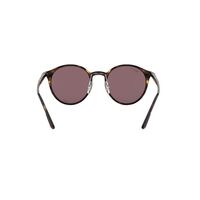 Ray-Ban RB4336CH 710/BC-50 Light Havana / Violet Chromance Polarised Lenses