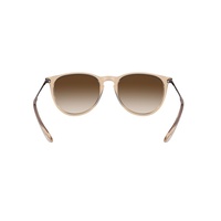 Ray-Ban RB4171 651413-54 Erika Transparent Light Brown / Brown Gradient Lenses