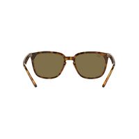 Ray-Ban RB4362 710/73-55 Havana / Dark Brown Lenses
