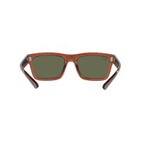 Ray-Ban RB4396 66789A-54 Warren Transparent Brown / Dark Green Polarised Lenses