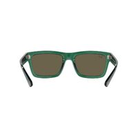 Ray-Ban RB4396 6681/3-54 Warren Transparent Green / Brown Lenses