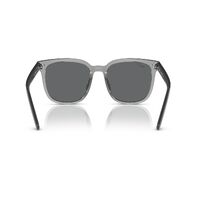 Ray-Ban RB4401D 659981-57 Transparent Grey / Dark Grey Polarised Lenses