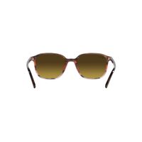 Ray-Ban RB2193 138085-55 Leonard Striped Brown & Red / Brown Lenses
