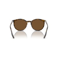Ray-Ban RB2204 139357-51 Havana On Transparent / Brown Polarised Lenses