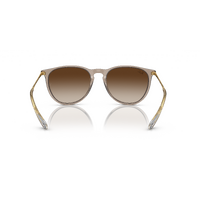Ray-Ban RB4171 674413-54 Erika Transparent Light Brown / Brown Gradient Lenses