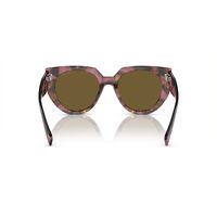 Prada PR14WS 18N01T-52 Tortoise Cognac Begonia / Dark Brown Lenses