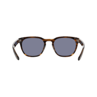 Dragon Bank DR501S 240-53 Striated Horn / Smoke Luma Lenses