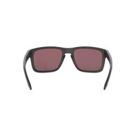 Oakley Holbrook OO9102-B555 Steel / Prizm Daily Polarised Lenses