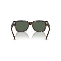 Arnette Cold Heart 2.0 AN4334 122271-53 Dark Havana / Dark Green Lenses