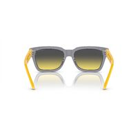 Arnette Cold Heart 2.0 AN4334 12432Q-53 Transparent Grey / Yellow w Dark Grey Lenses