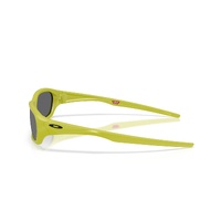 Oakley Terraforma OO9530-0458 Cactus / Prizm Black Lenses