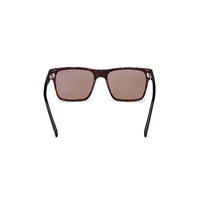 Tom Ford Calder FT1205 52E-55 Dark Havana / Brown Lenses