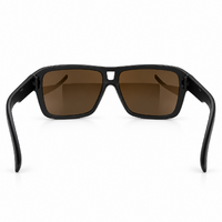 Urban Zoo Crosstown C14 Matte Black / Brown Lenses