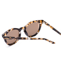 Sito Now Or Never SINON017S Chestnut Tortoise / Coffee Lenses