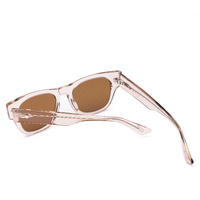 Otis Out Of Sight 202-2501 Eco Crystal Pebble / Brown Lenses