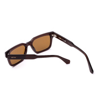 Otis Outbound 216-2601 Crystal Copper / Brown Lenses