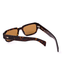 Otis Jam 217-2602 Havana Ray / Brown Lenses
