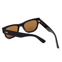 Otis Hurricane 219-2601P Black / Brown Polarised Lenses