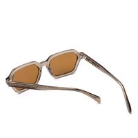 Otis Metric 206-2602 Crystal Fern / Brown Lenses
