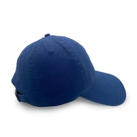 Gilroy Co. Sesame Street Cookie Monster Ball Park Dad Hat Royal OSFM