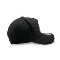 Mitchell & Ness Boston Celtics Pro Pinch Evergreen Black OSFM