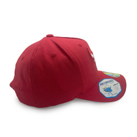 Mitchell & Ness Chicago Bulls Flexfit 110 Autumn Colour Crimson OSFM