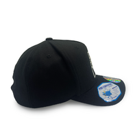 Mitchell & Ness Indiana Pacers Flexfit 110 Evergreen Core White Logo Black OSFM