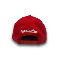 Mitchell & Ness Chicago Bulls Flexfit 110 Winter Colour Washed Red OSFM