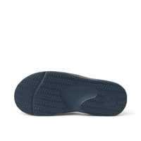 Reef Fanning H20 CJ8549 Blue