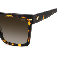 Carrera 3067/S 086 HA 56 Havana / Brown Gradient Lenses