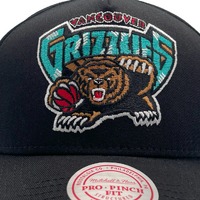 Mitchell & Ness Vancouver Grizzlies Pro Pinch Evergreen Core Team Colour Black OSFM
