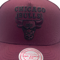 Mitchell & Ness Chicago Bulls Pro Pinch Lacquer Fig OSFM