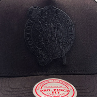 Mitchell & Ness Boston Celtics Pro Pinch Evergreen Black OSFM