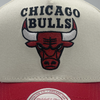 Mitchell & Ness Chicago Bulls Pro Pinch Evergreen White Cream/Red OSFM